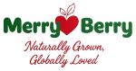 Merry Berry